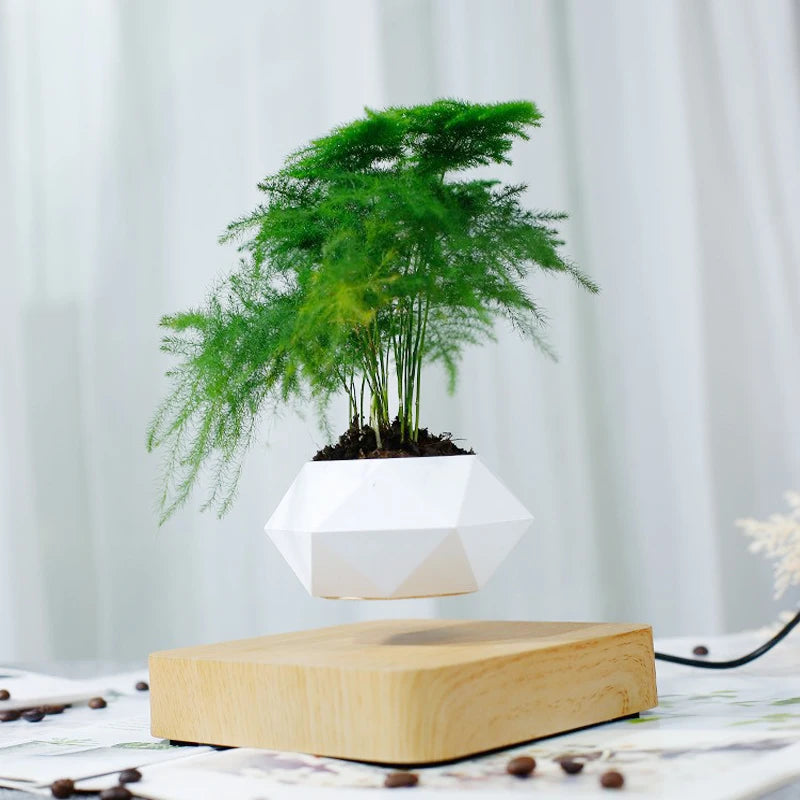 Ghiveci pentru bonsai cu aer levitat: o fuziune între tehnologie și natură