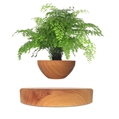 Levitating Air Bonsai Pot: A Fusion of Technology and Nature