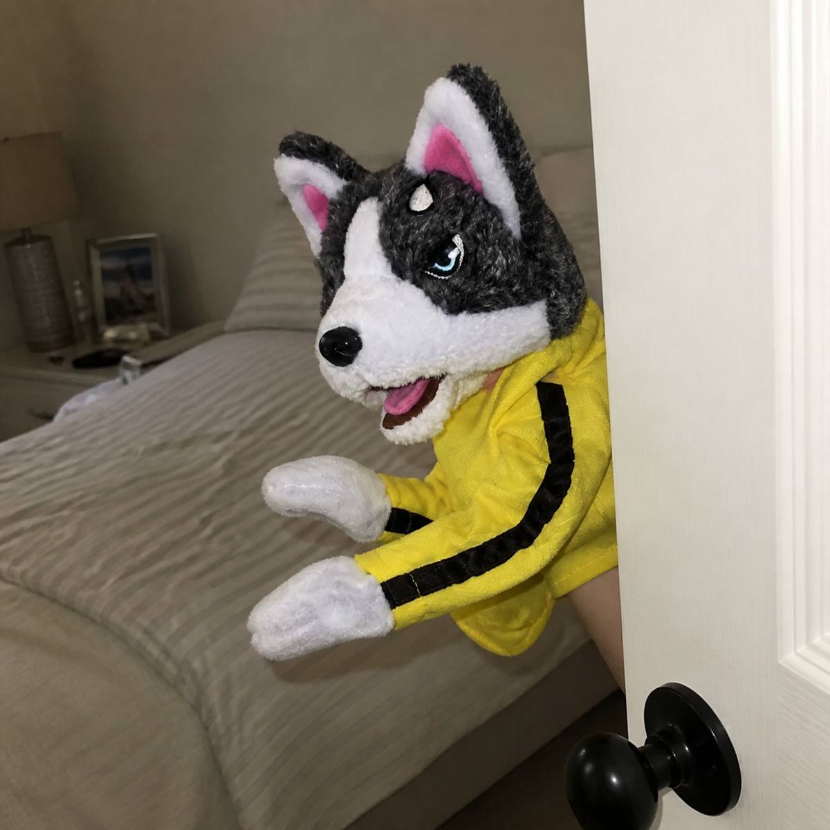Demo customer photo 5 showing Boxing Husky Hand Puppet in use