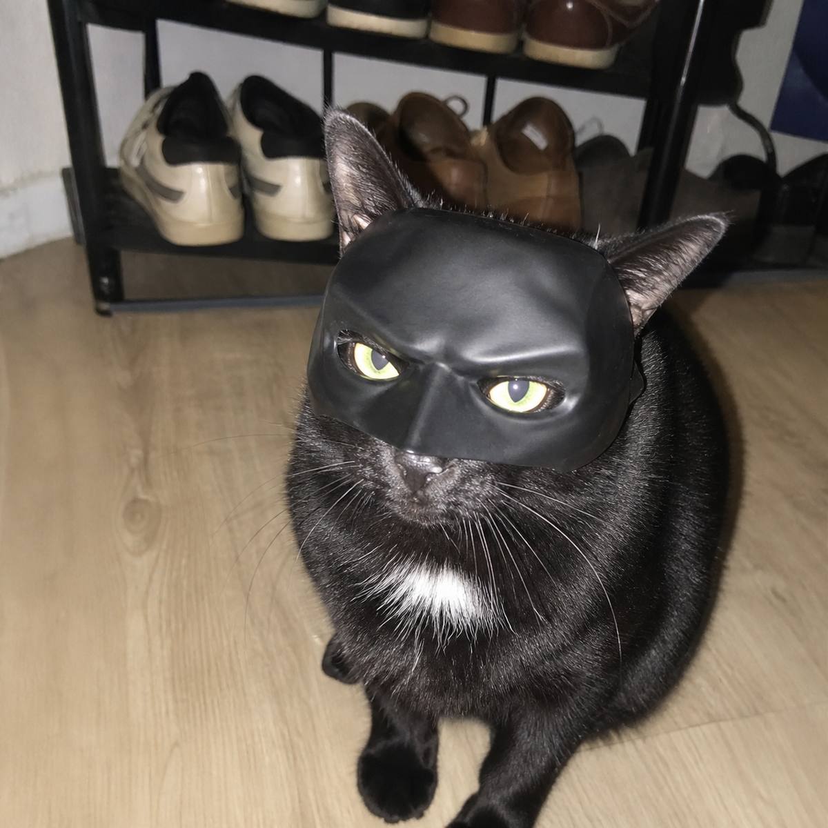 Demo customer photo 3 showing Cat Bat Mask in use