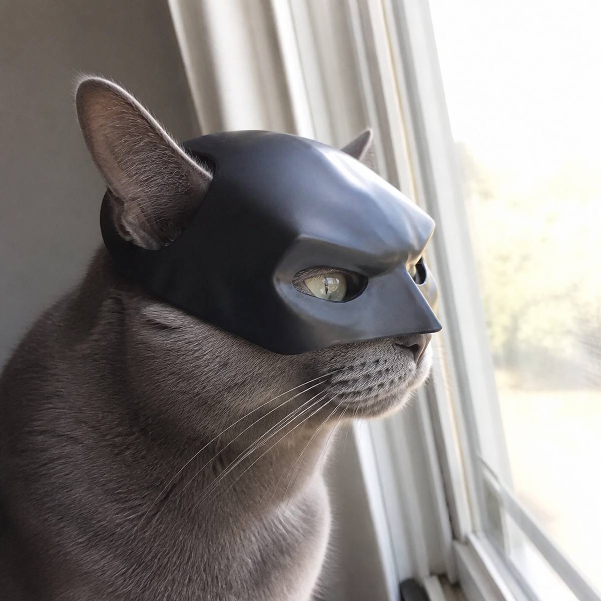 Demo customer photo 5 showing Cat Bat Mask in use