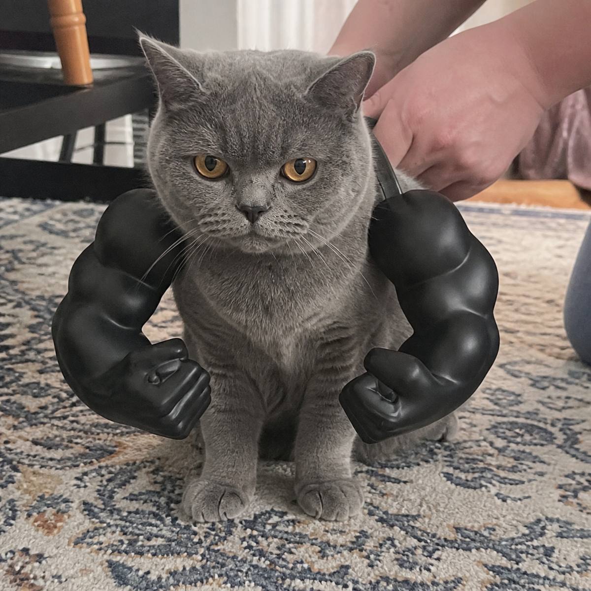 Demo customer photo 6 showing Cat Muscle Arms in use