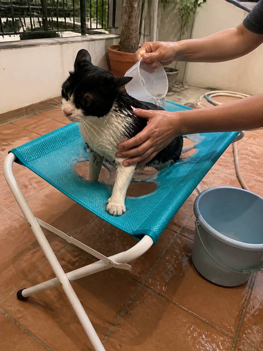 Demo customer photo 3 showing Foldable Pet Grooming Hammock Stand in use