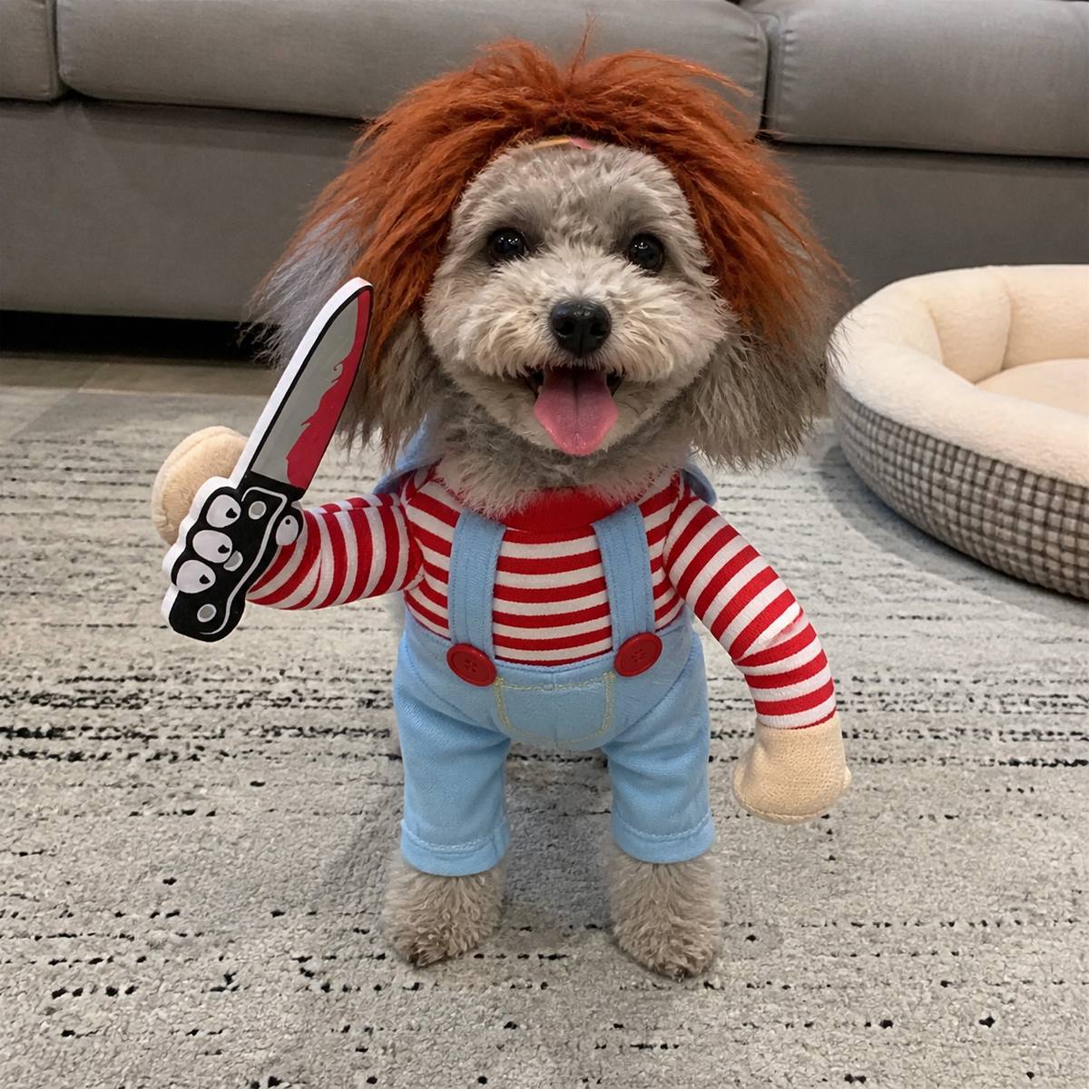 Demo customer photo 1 showing Spooky Doll Pet Costume in use