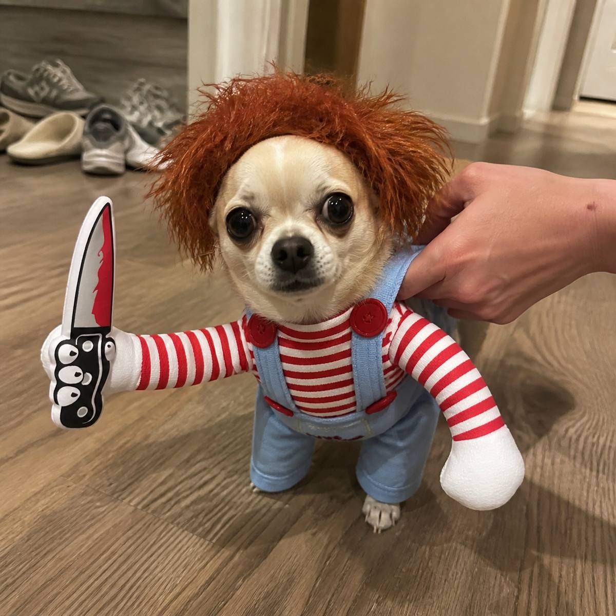 Demo customer photo 2 showing Spooky Doll Pet Costume in use