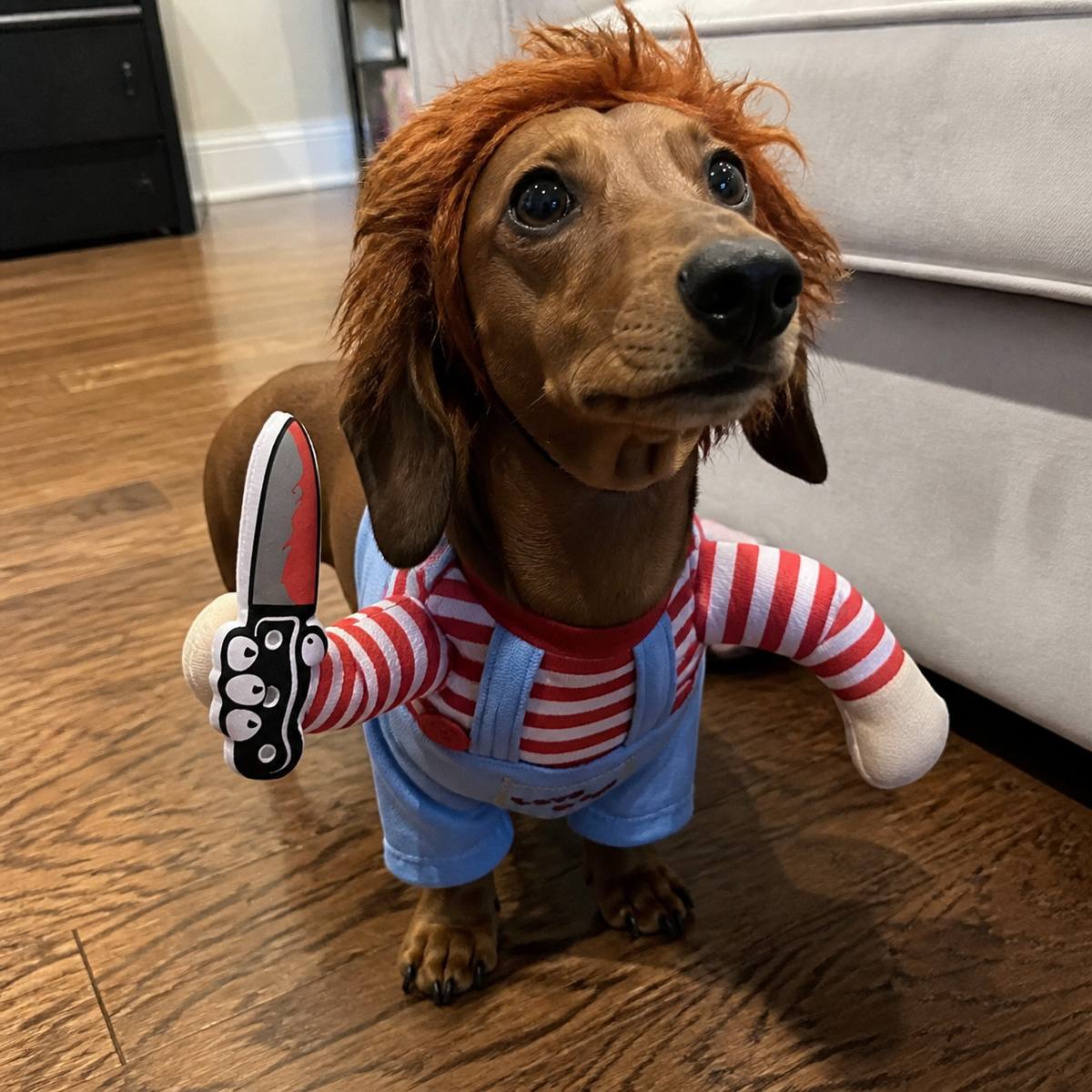 Demo customer photo 4 showing Spooky Doll Pet Costume in use