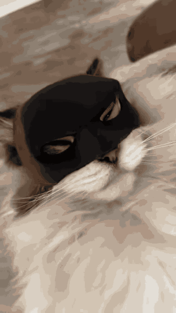 Cat Bat Mask — See it in action 1
