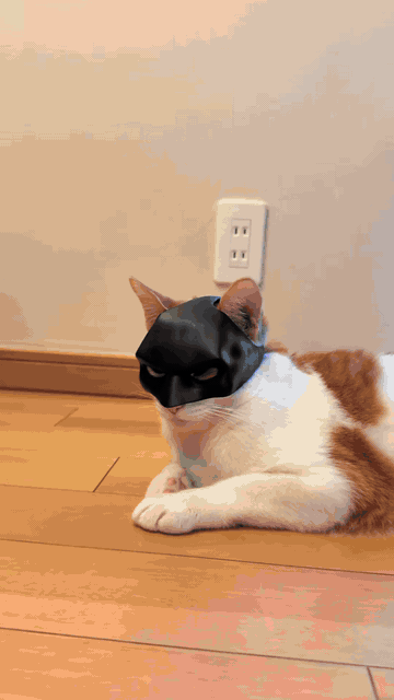 Cat Bat Mask — See it in action 2
