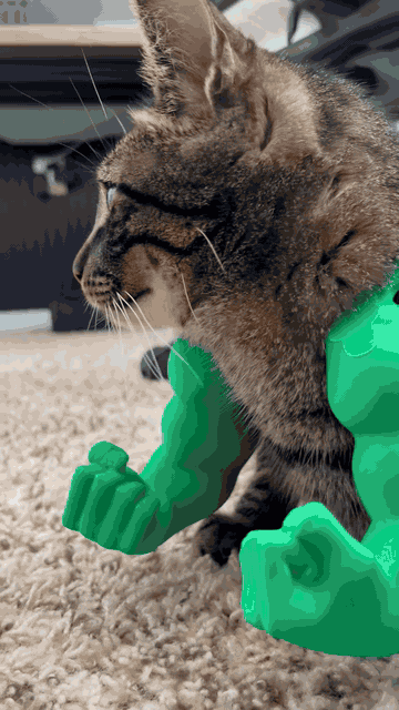Cat Muscle Arms — See it in action 1
