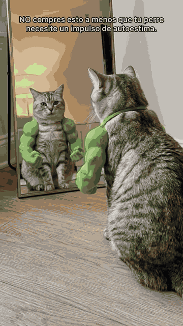 Cat Muscle Arms — See it in action 3