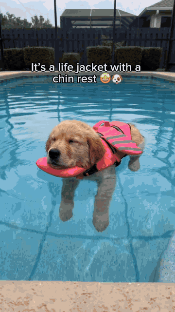 Dog Life Jacket — See it in action 1