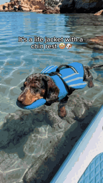 Dog Life Jacket — See it in action 2