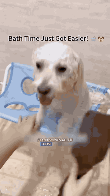 Foldable Pet Grooming Hammock Stand — See it in action 2