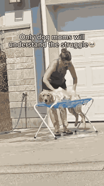 Foldable Pet Grooming Hammock Stand — See it in action 3