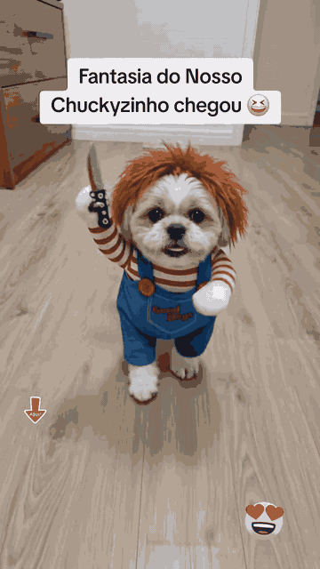 Spooky Doll Pet Costume — See it in action 1