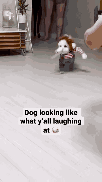 Spooky Doll Pet Costume — See it in action 2